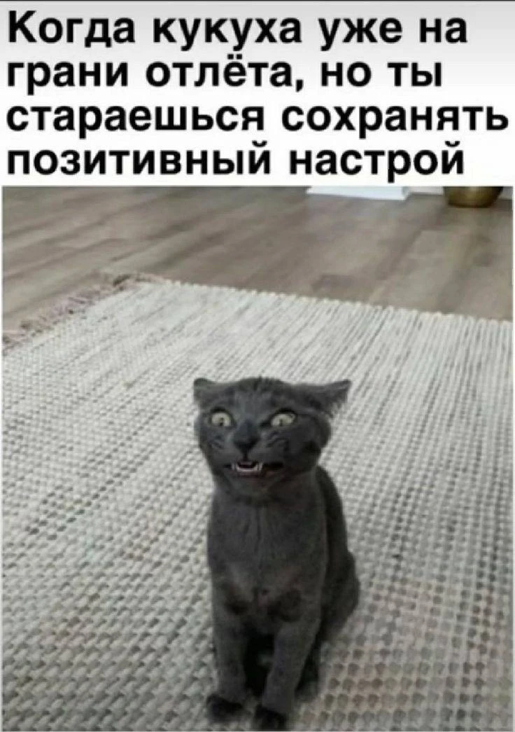 Лучше не трогайте меня 🤪