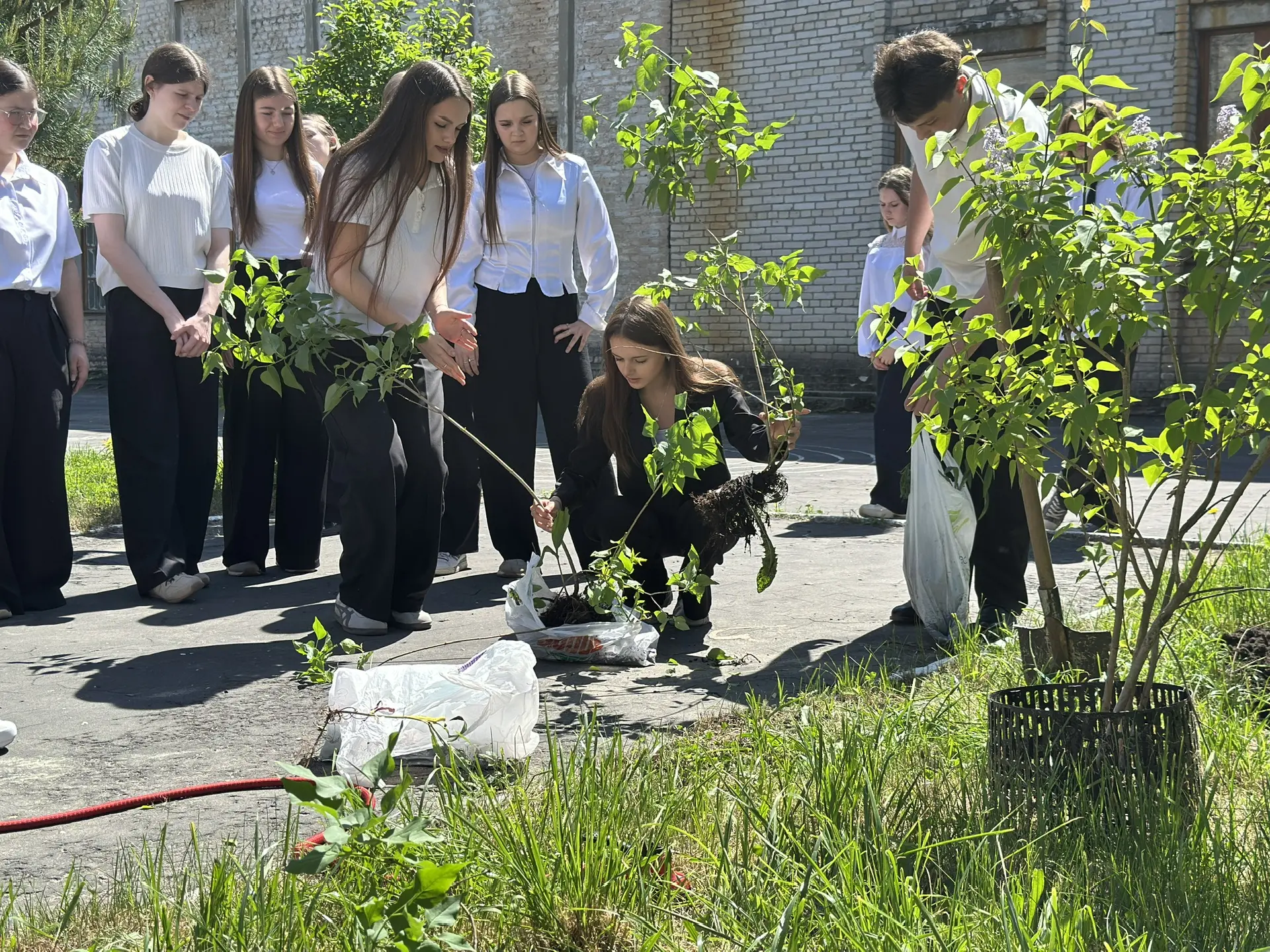 🌷 АЛЛЕЯ ВЫПУСКНИКОВ 🌿  22 мая  выпускники 11 «А» класса сделали замечательный подарок нашей школе— п