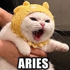 Аватарки по знакам зодиака