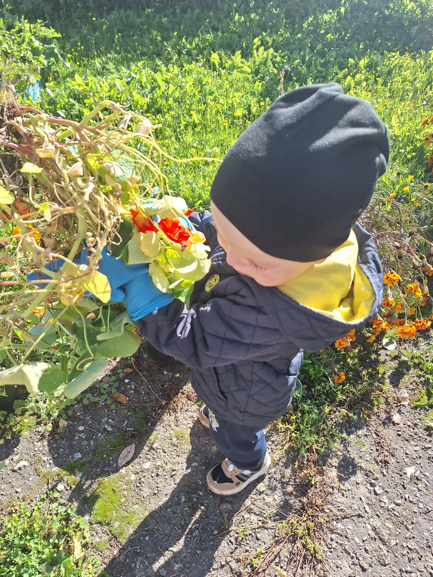🌼Ребята младшей разновозрастной группы "Паровозик из Ромашкова "очень любят трудиться,...