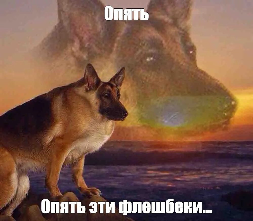 Флешбэки и интрузии — это признак непереработанной травмы. Воспоминания возвращаются пр...