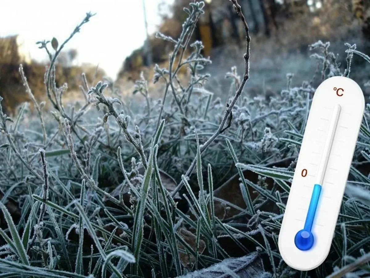 🥶 Предстоящей ночью в Кунгуре возможны заморозки.