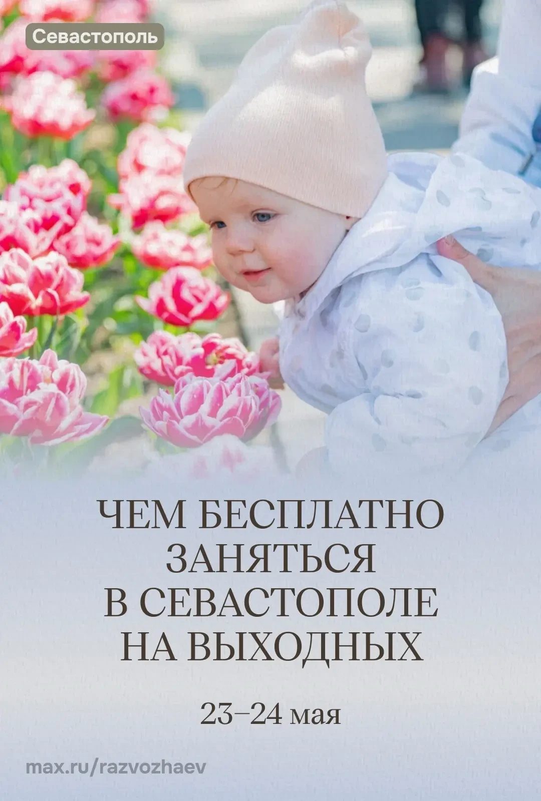 Михаил Развожаев: Впереди выходные, и уже традиционно севастопольские учреждения приготовили множест