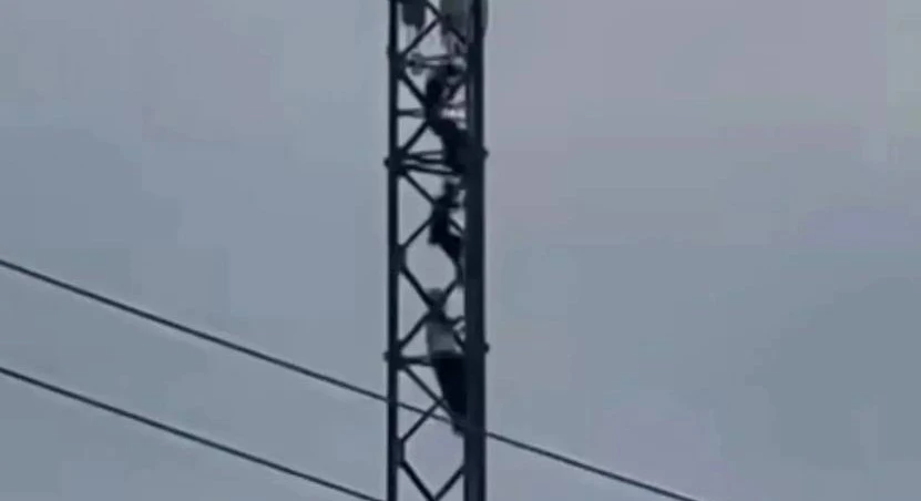 ⚡Забрались почти на вершину: в Корсакове нашли подростков с опасного видео