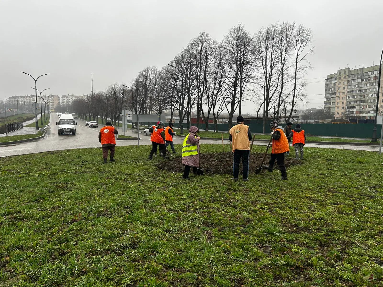 На круговом пересечении ул. Шогенова / Профсоюзная продолжается подготовка к высадке мн...