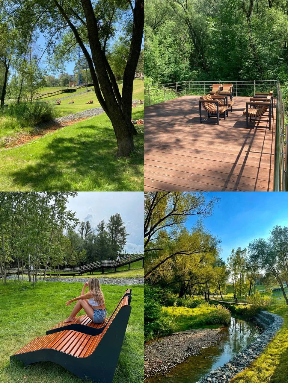 #гуляемпоМоскве

🌳 Миниатюрный лес с тарзанками и редкими растениями

«Долина реки Котловка» — удив