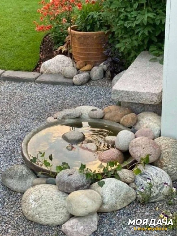 Крошечные водоемы и поилки для птиц 🐦
