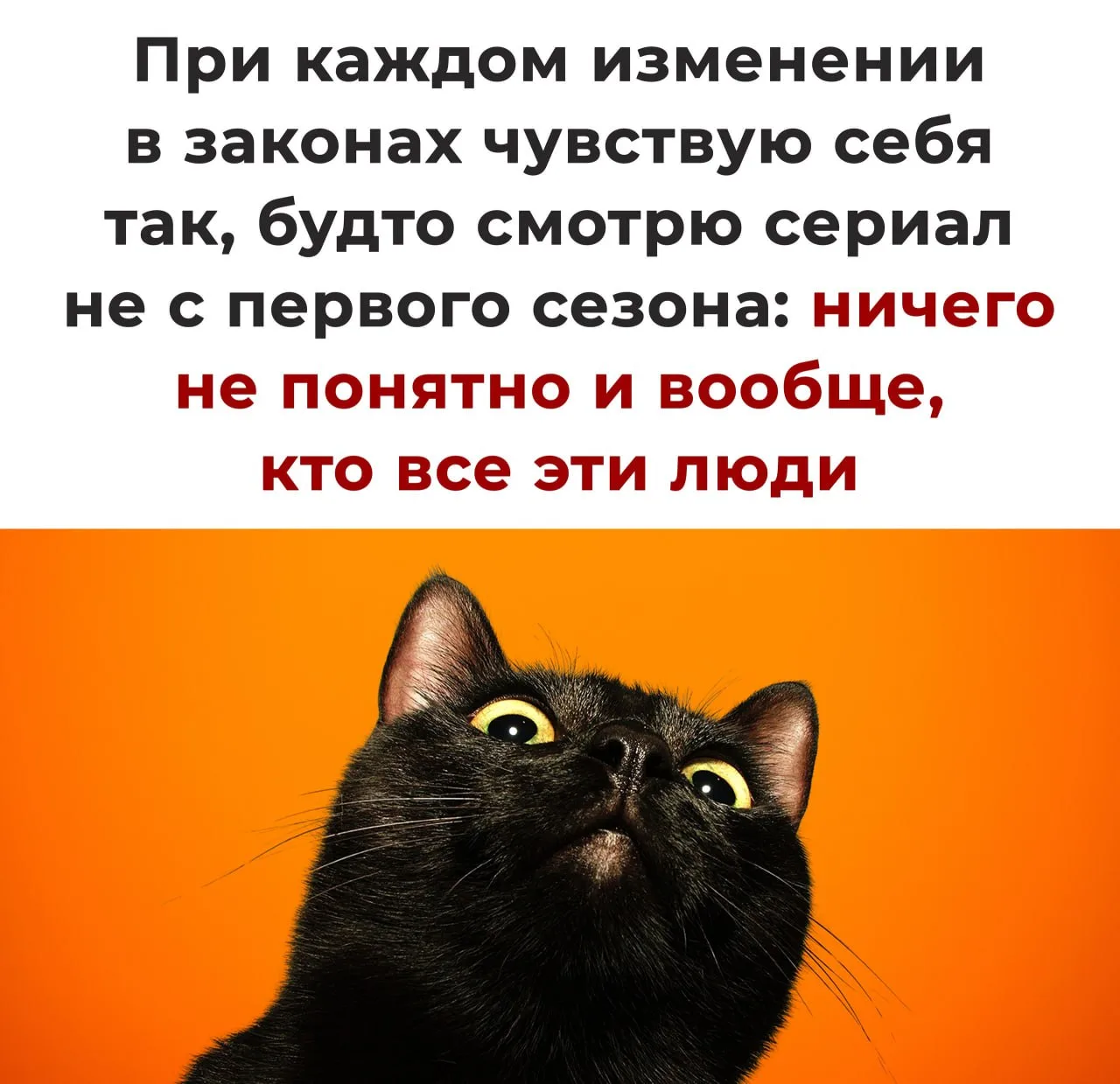 Когда есть вопросы к сценарию 🤔 🫠

👉 Более 3000 бухгалтеров в чате в МАХ