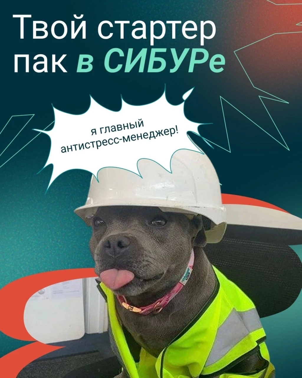 Забудь про тесты на тип личности, твою судьбу сейчас определят предметы с завода. 

Листай карусель,