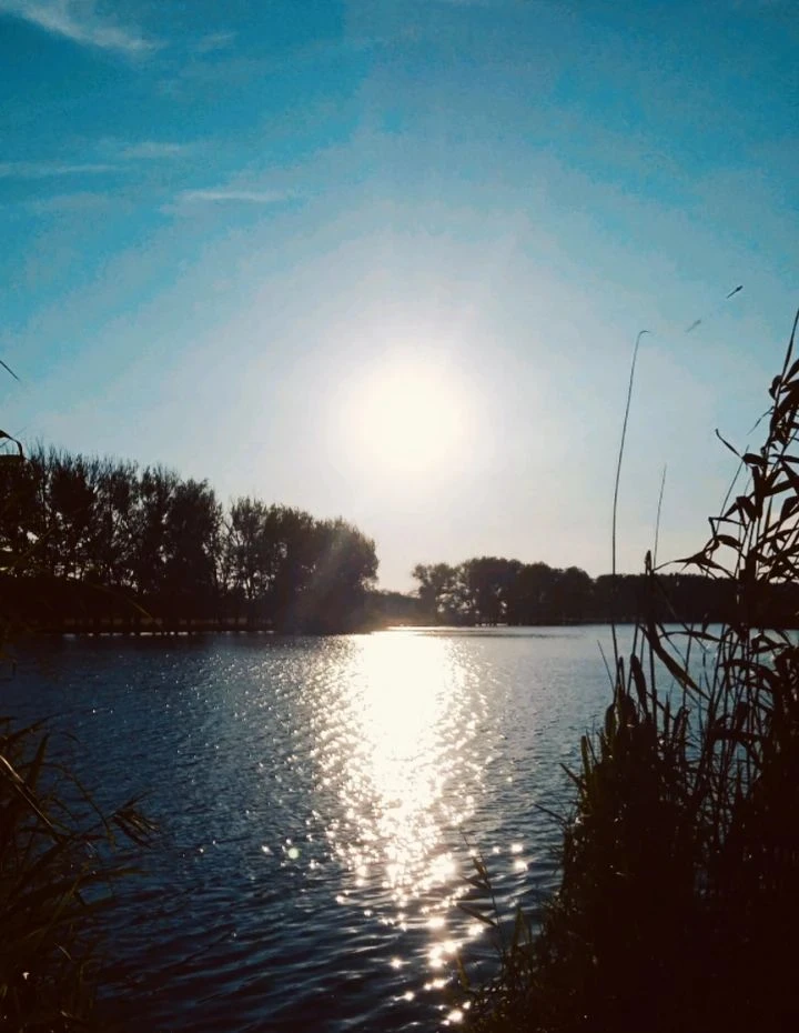 🌅 Добрый вечер, друзья!