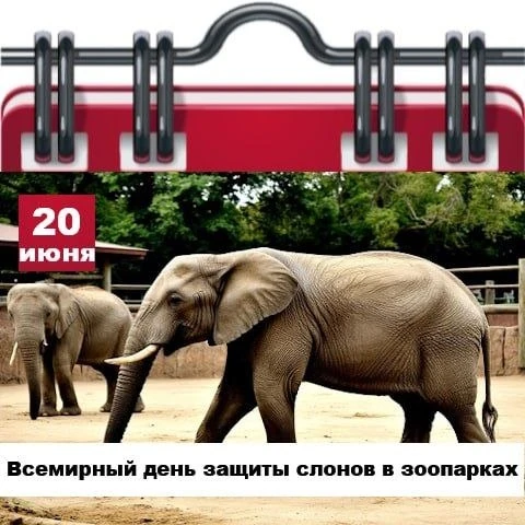 🗓 Сегодня 20 июня 2026 года, суббота – отмечается 13 праздников.