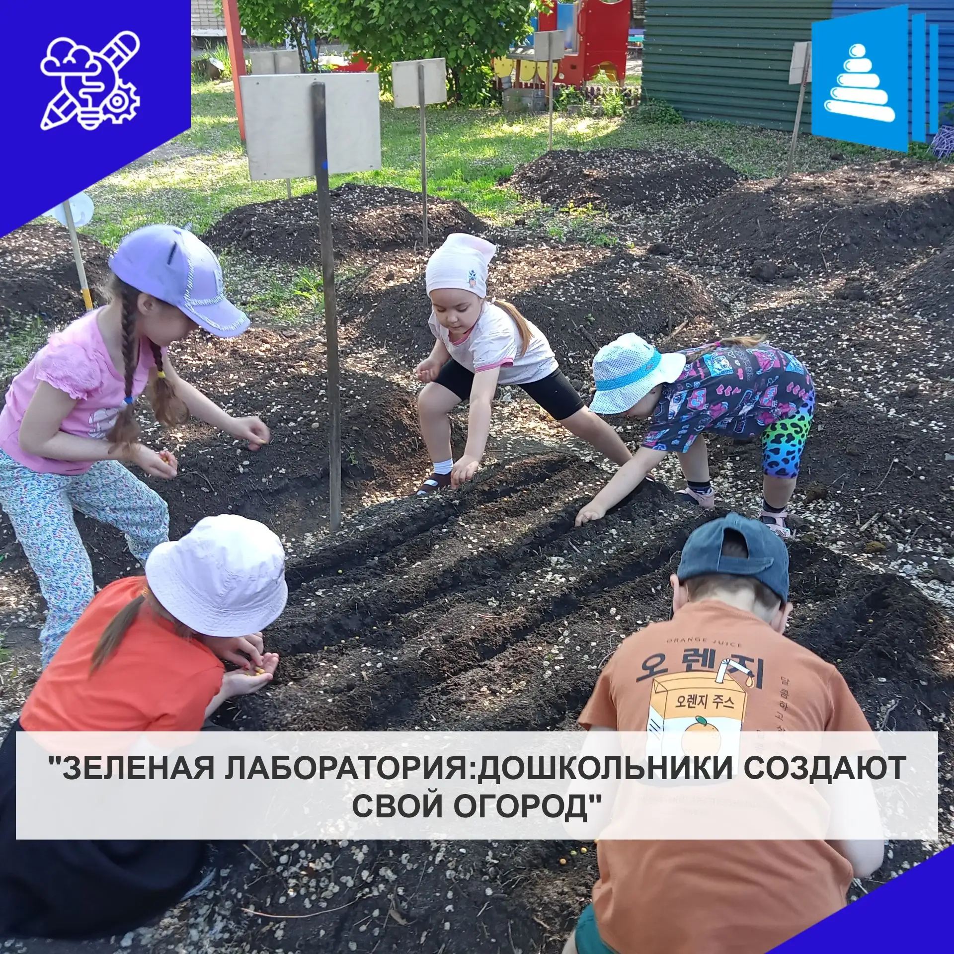 Дети подготовительной группы были сегодня огородниками. На нашей грядке решили посадить горох. Дети 
