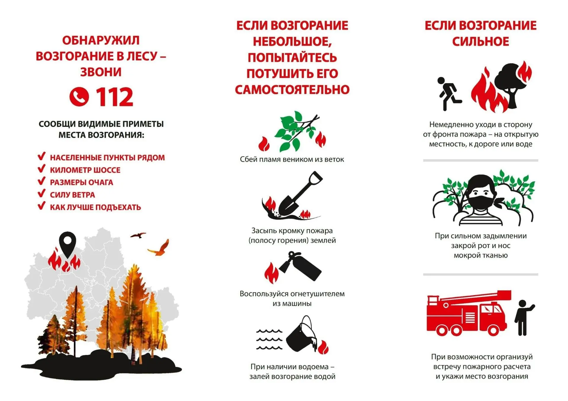 🌳Соблюдайте правила пожарной безопасности в лесу!