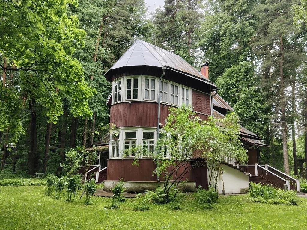 📚 Городок, где жили Пастернак и Чуковский: едем в Переделкино