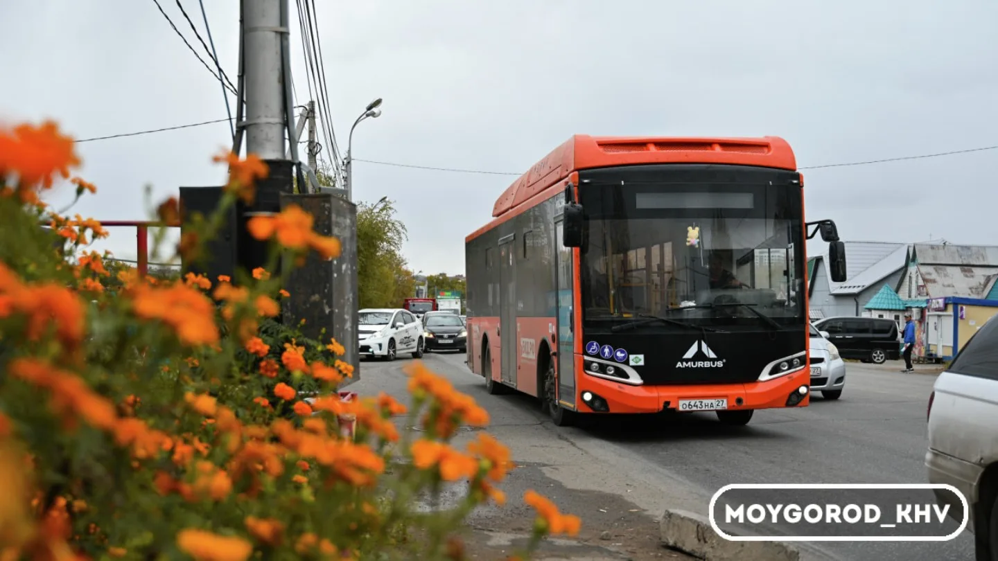 #moygorod_khvновости | ГУБЕРНИЯ