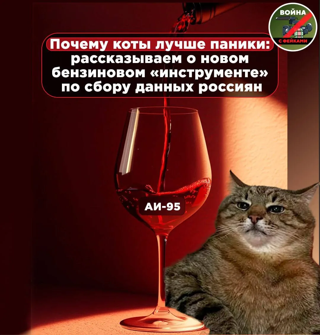 В сети продолжают появляться ресурсы, собирающие личные данные граждан под видом площад...