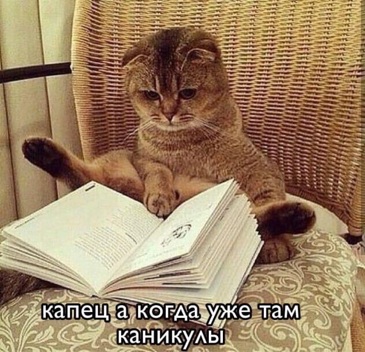 Мемы каждый день • Подписаться