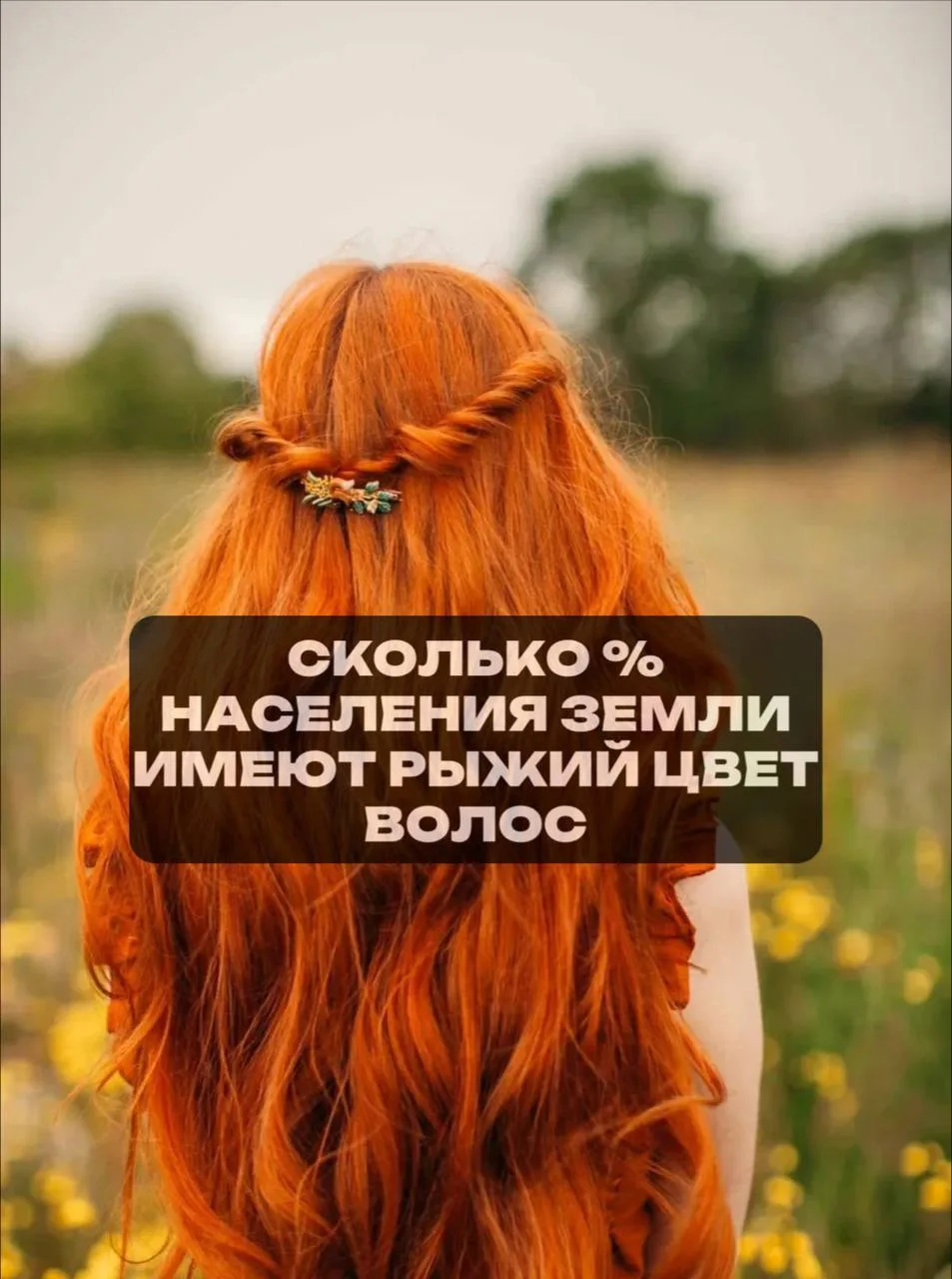 5%  👎
2%  👌
8%  👍
12%🤟

✅PS Ответ на предыдущий вопрос  - 40000км.

Новости МОСКВЫ l Moscow News
