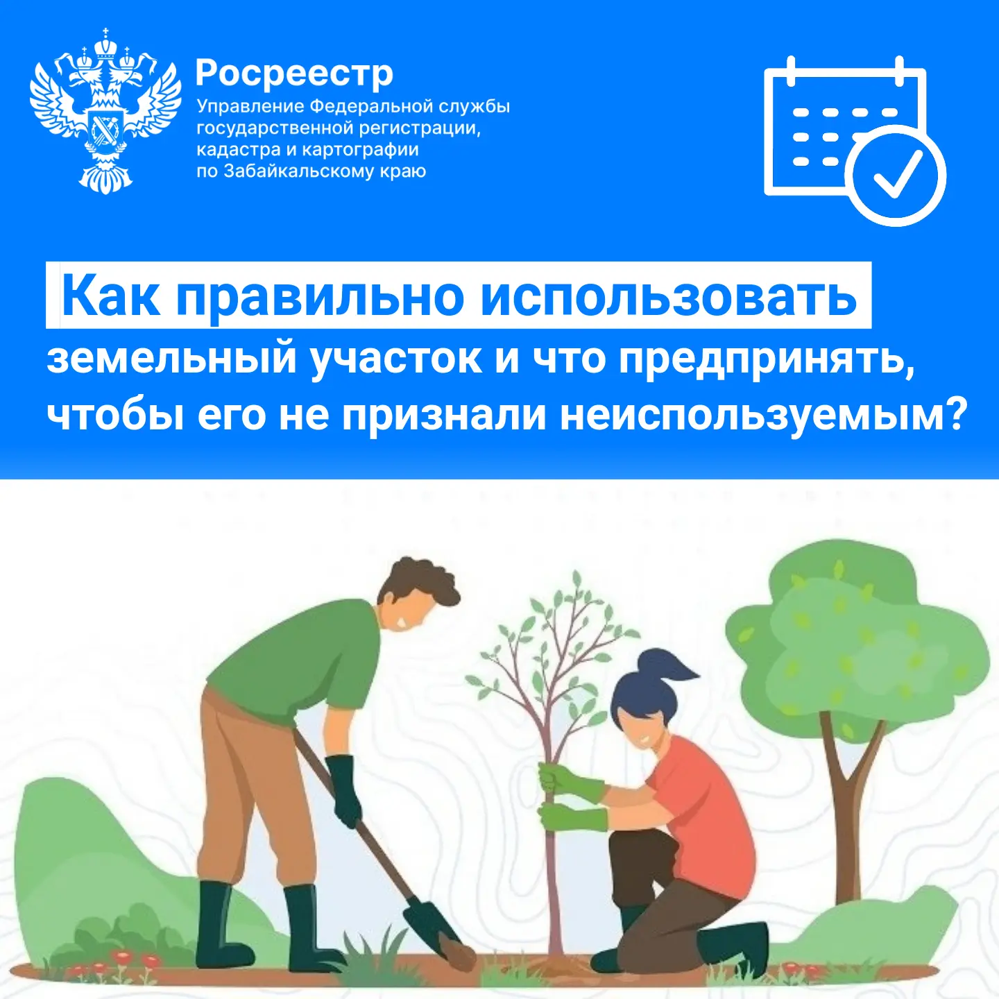 ✅ Как правильно использовать земельный участок и что предпринять, чтобы садовые и огоро...