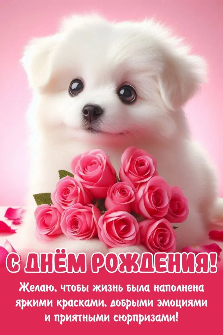 https://max.ru/invista123456