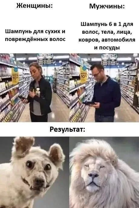 Юморима