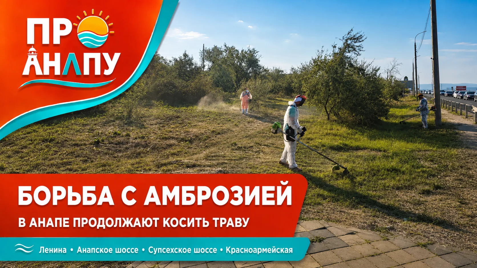 В Анапе продолжают борьбу с амброзией и высокой травой