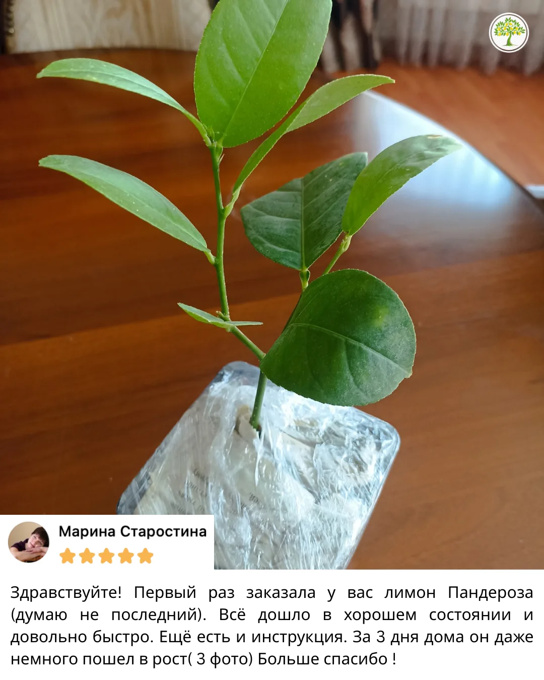 ОТЗЫВЫ 💚
Спасибо, что оставляете отклик! Это очень помогает принять решение тем, кто только задумыв