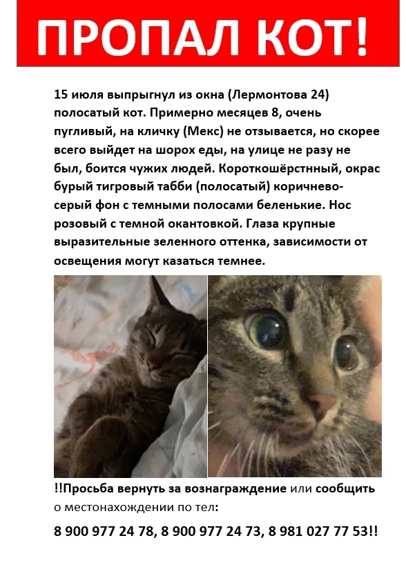 Новости Воркуты 👉 taplink.cc/vorkuta24