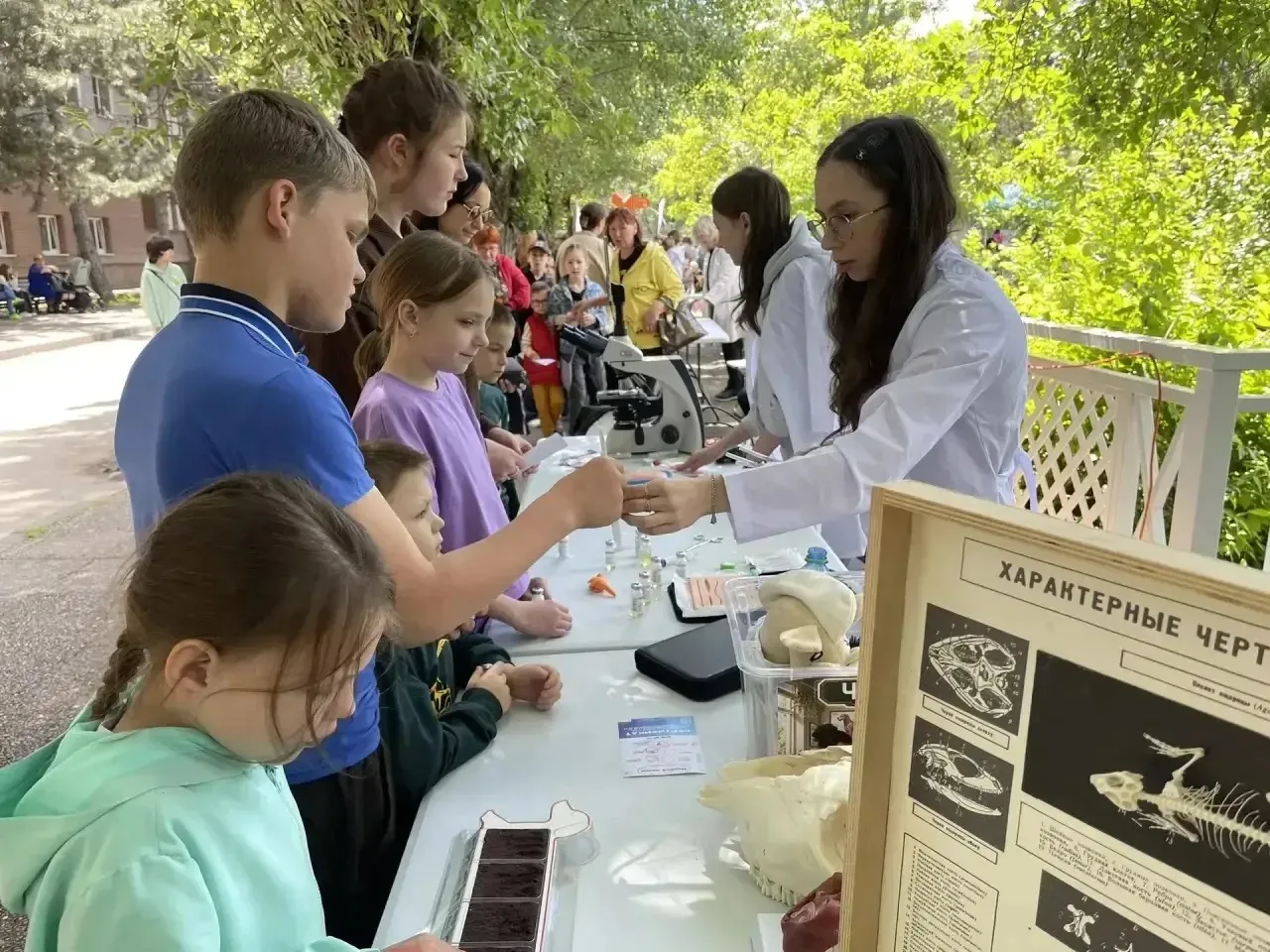 ☀️Город улыбок: День защиты детей в парках культуры и отдыха