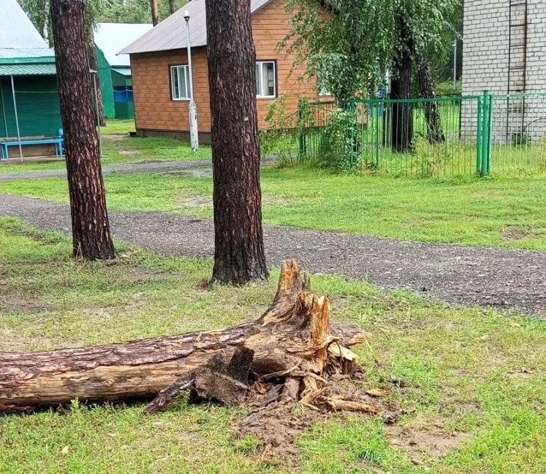 Получасовой ураган с крупным градом обрушился на спортивный лагерь «Ласточка»

Сейчас там тренируютс