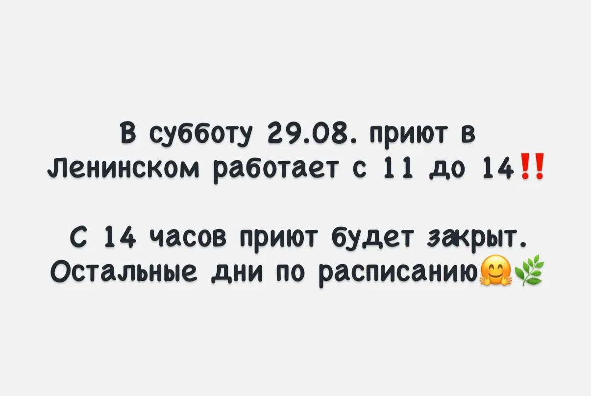 📌В субботу 29 августа приют в Ленинском районе работает с 11 до 14 часов‼️