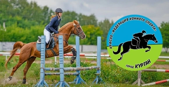 Скидка 50% на конные прогулки, фотосессии в Федерации конного спорта (Ипподром): https:...