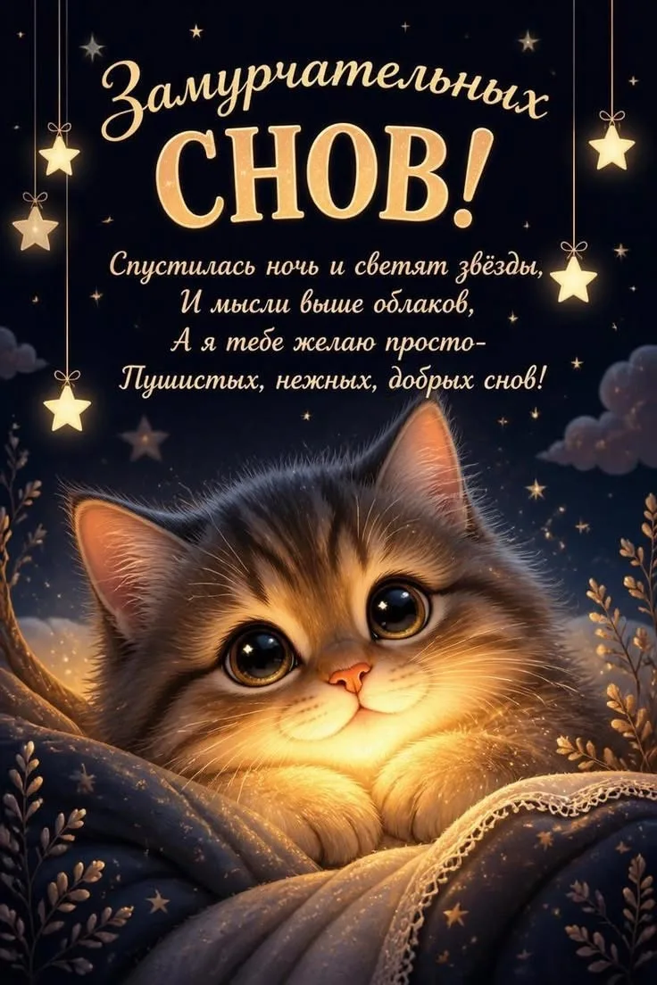 МИР ПОЗИТИВА 🤩 ОТКРЫТКИ!