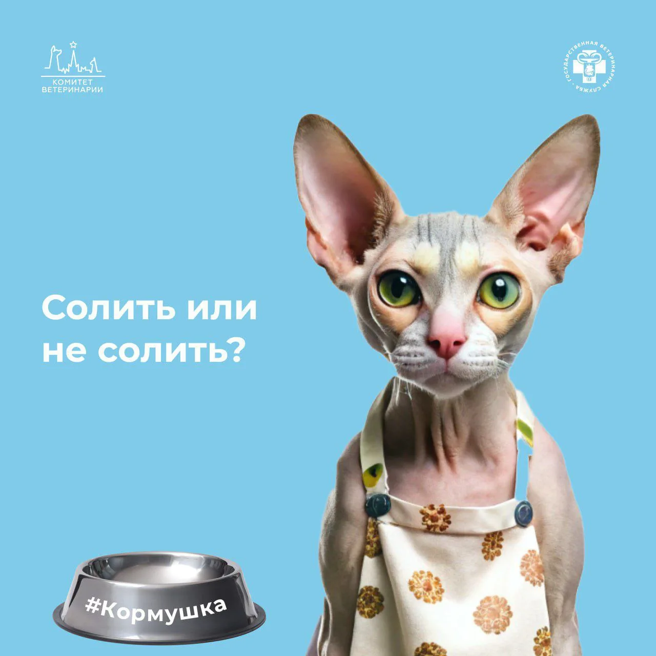 🧂Нужна ли питомцам соль?

🧑‍⚕️ Специалисты утверждают, что нужна: соль является непременным компон