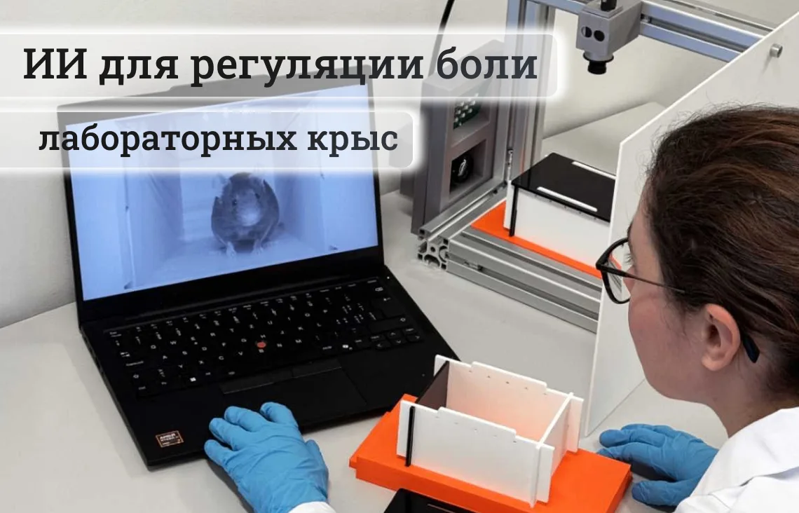 📄 ИИ помогает лучше распознавать боль у лабораторных мышей