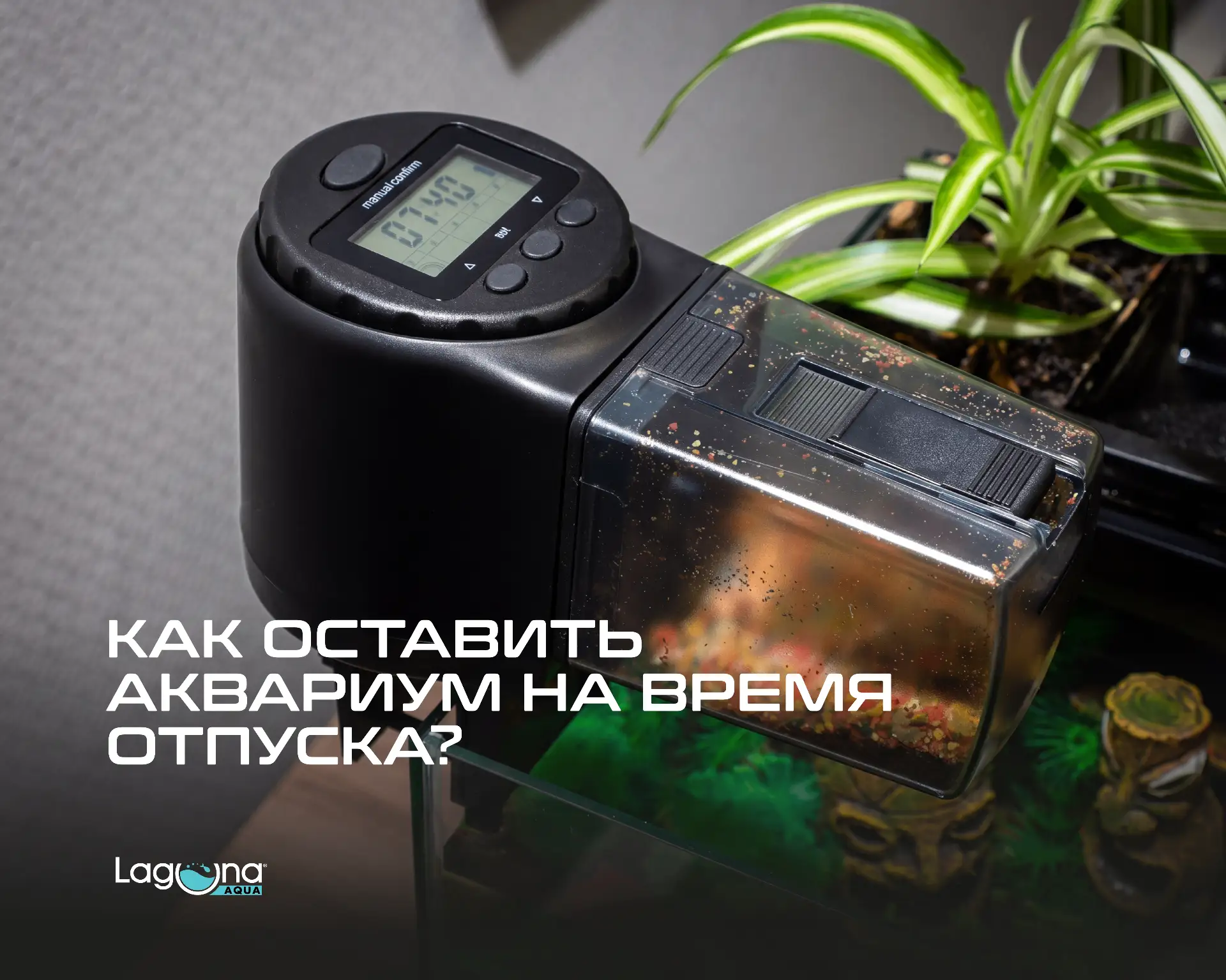 Уезжаете в отпуск? Инструкция: как оставить аквариум и не переживать за рыбок💡

🐟 Лето… Вы пакуете