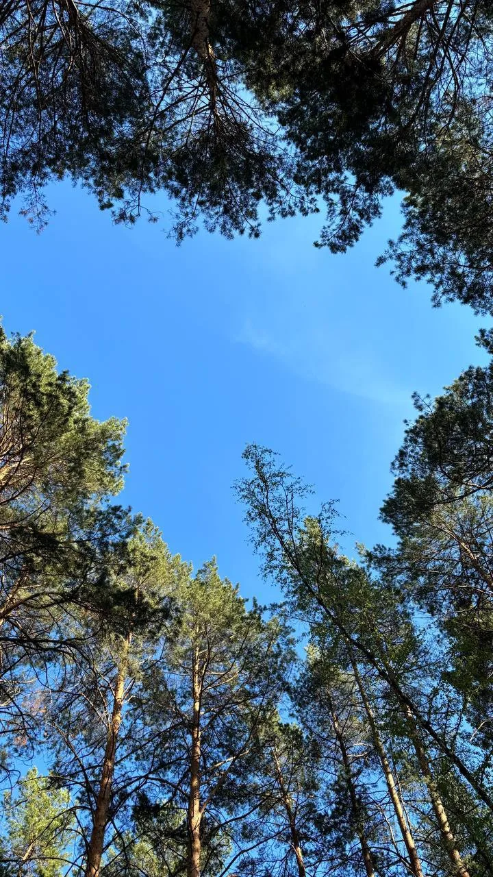 Доброе утро 💚
Хорошей недели
