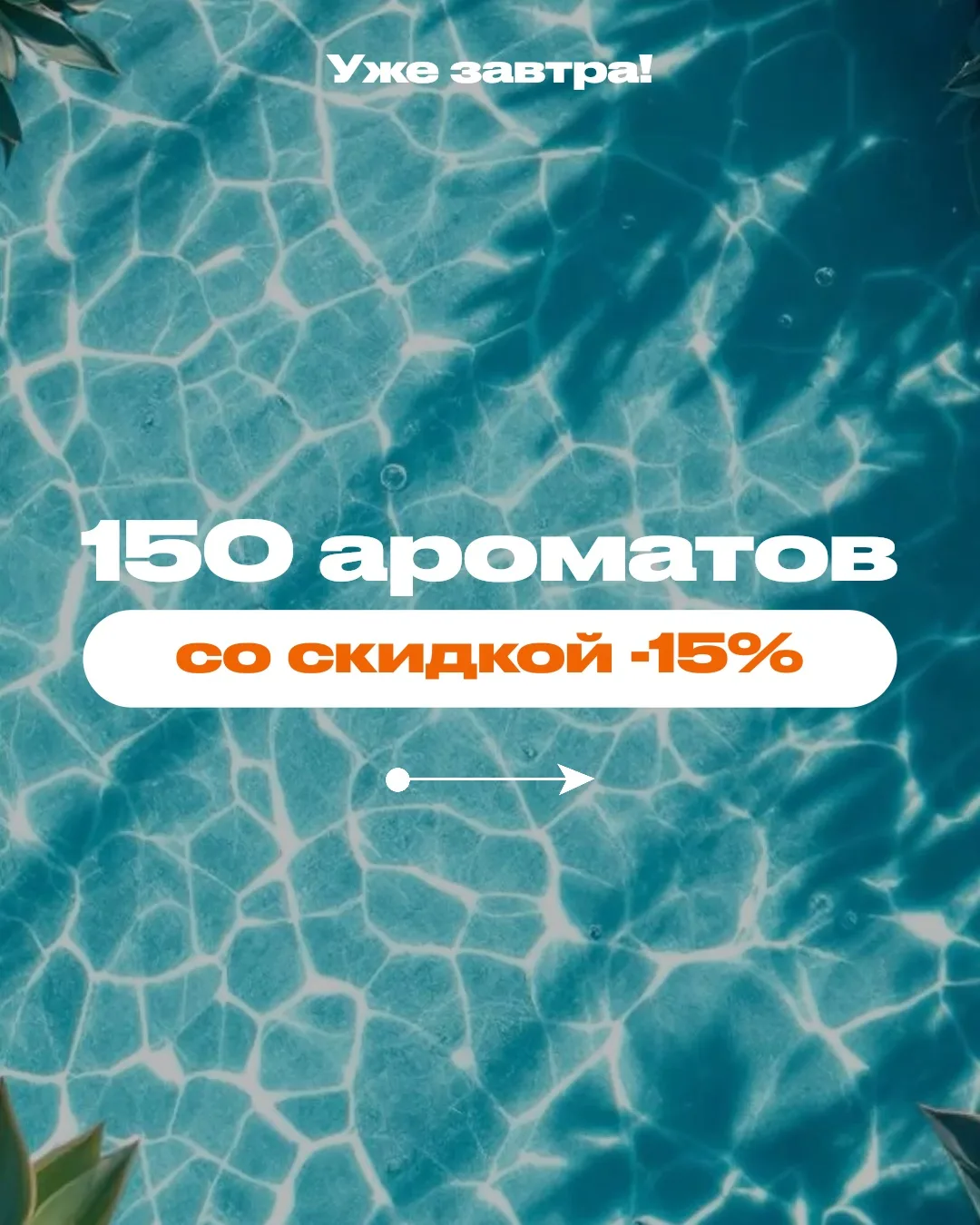 🧡 СПИСОК АРОМАТОВ, СО СКИДКОЙ -15% 🧡

ЛЕТНИЙ SALE запускаем уже завтра! Публикуем список заранее, 
