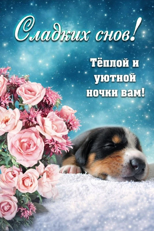 НАШИ КАНАЛЫ: