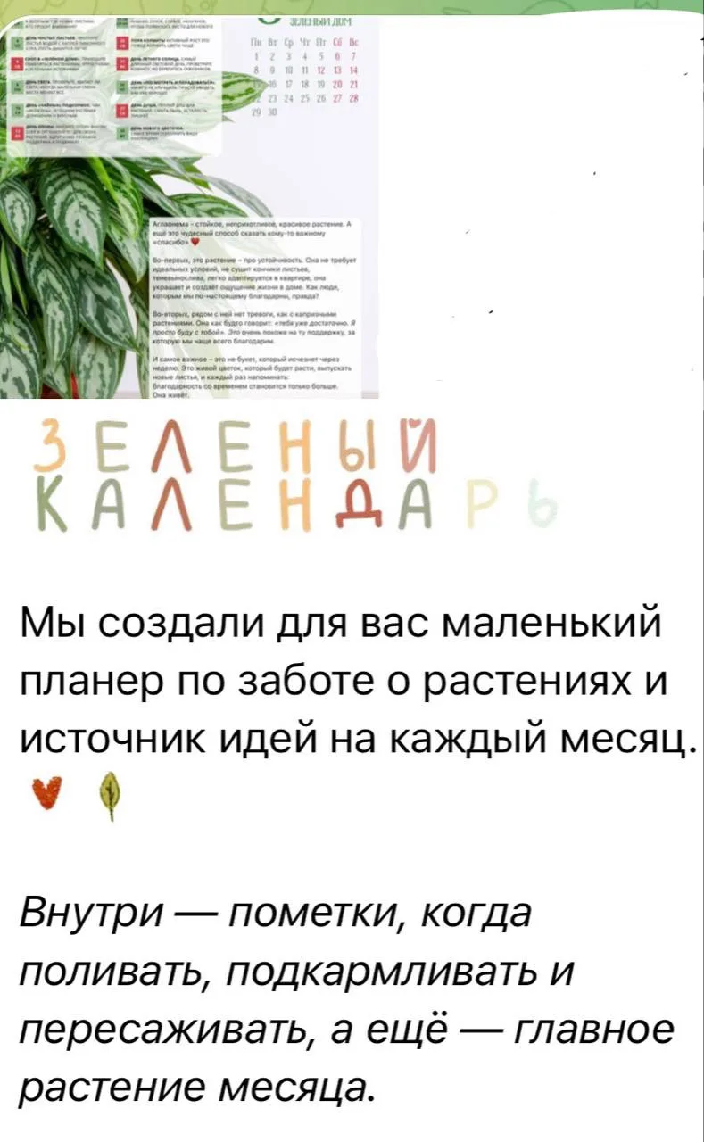 Теперь каждый месяц в аккаунте Зеленого дома будет выходить «Зеленый календарь» на меся...