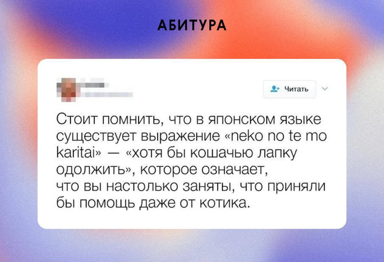 Во время подготовки к экзамену и от котика, и от собачки, и от хомячка с комариком помощь можно прин