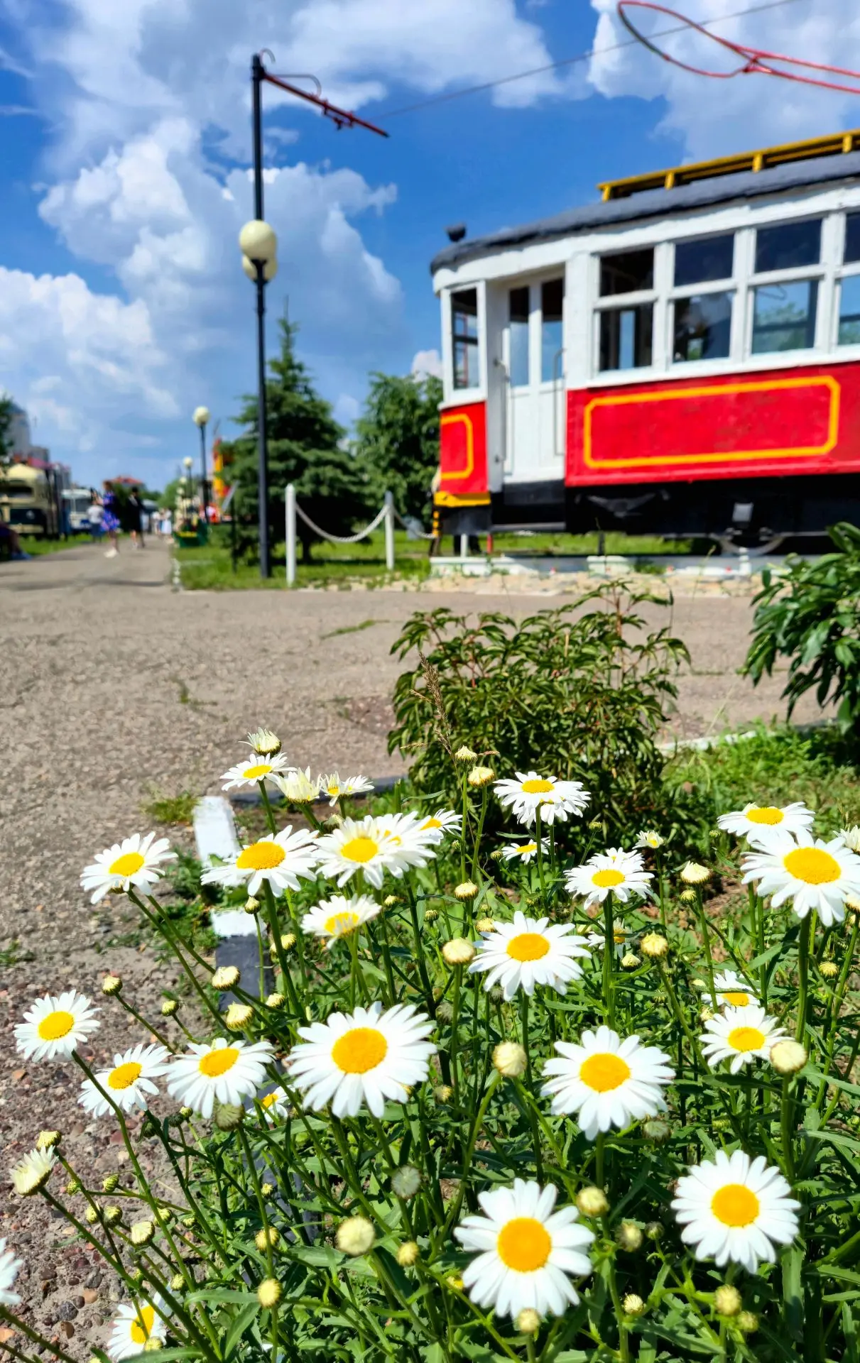 ✨🌸  Всем плодотворного четверга. Музей под открытым небом раритетного электрического транспорта на 
