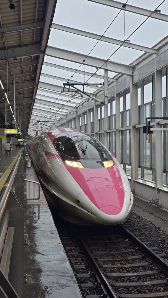 Розовый Hello Kitty Shinkansen курсировал между Осакой и Фукуокой с 2018 года. Внутри поезда был маг