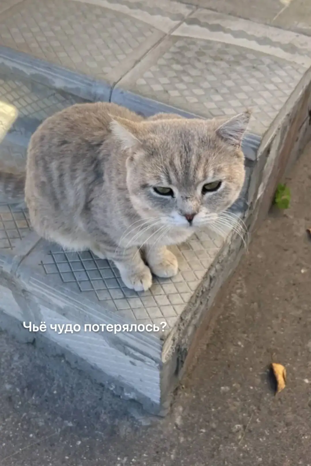 Советская 101