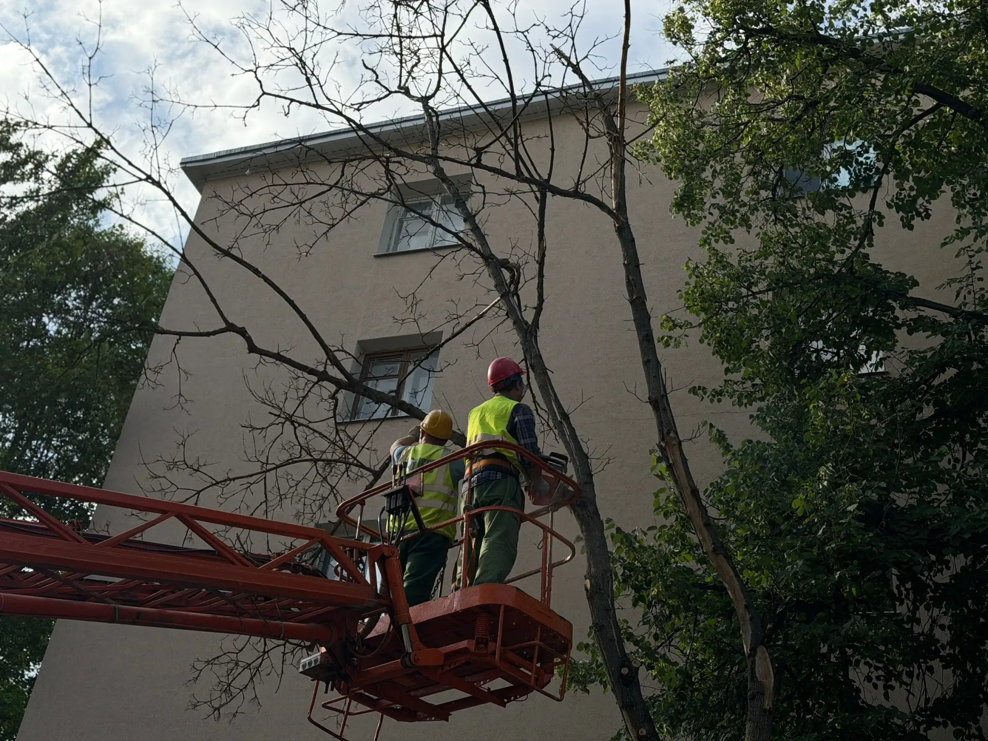 Вчера из-за сильного порыва ветра на улице Шершнёва 28 дерево упало на автомобиль и пов...