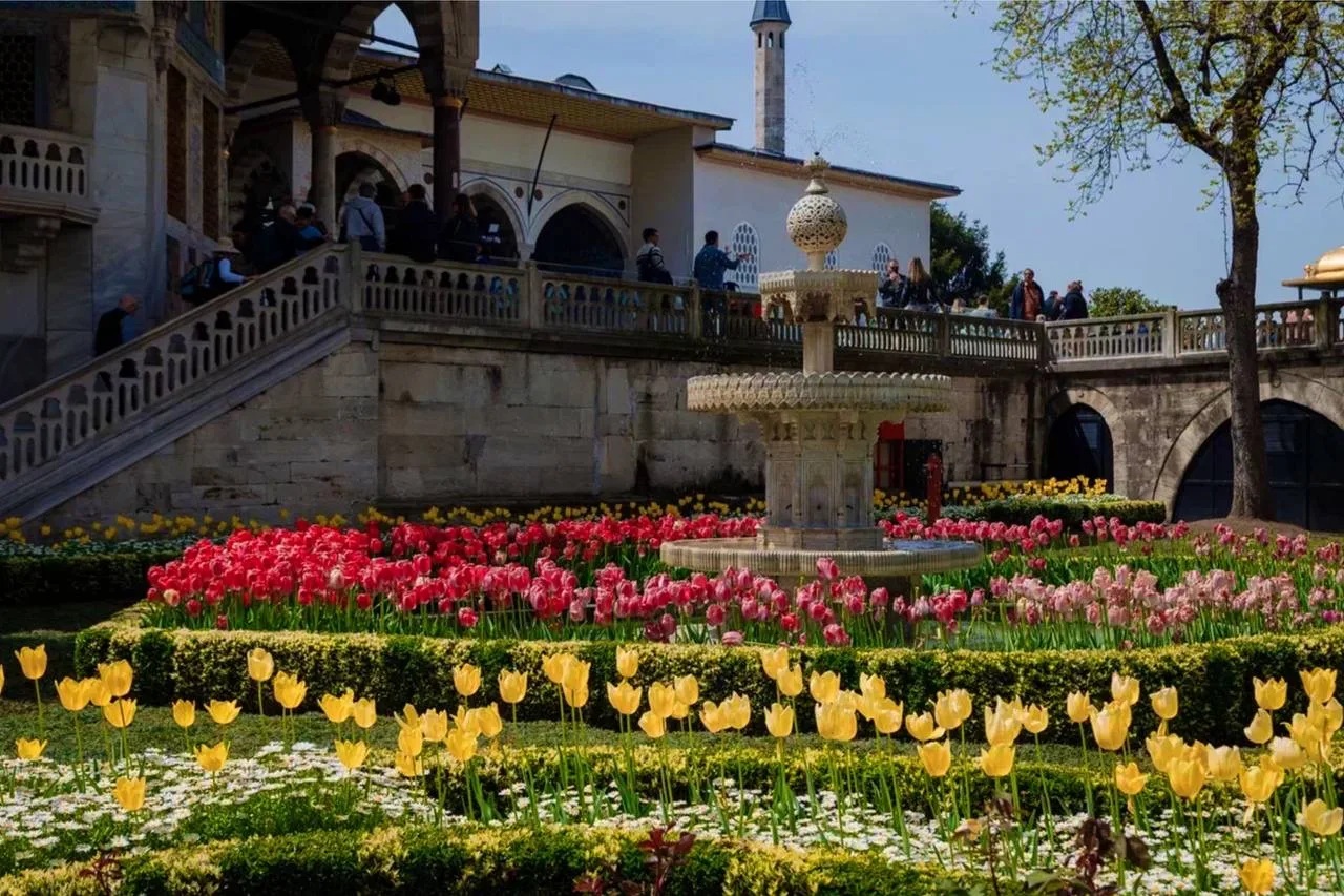 🌷 Когда Стамбул превращается в город тюльпанов  Каждую весну Стамбул переживает одно из самых красив