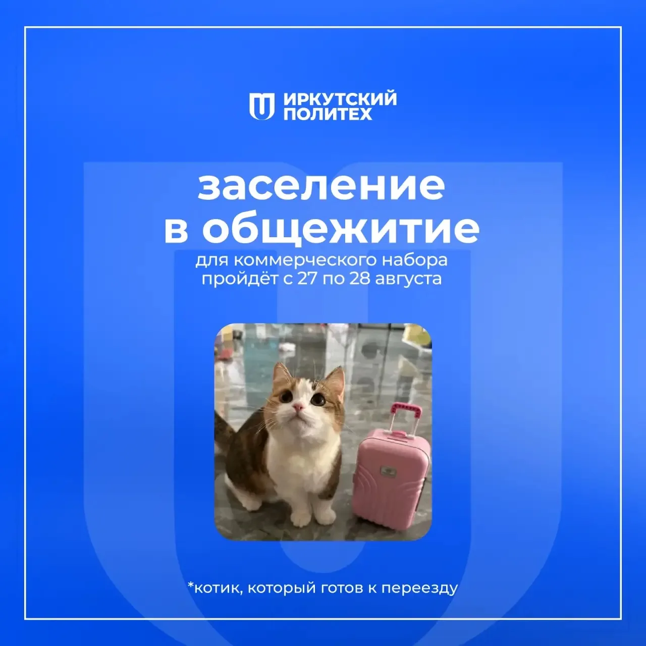 🏠 Внимание, первокурсники!