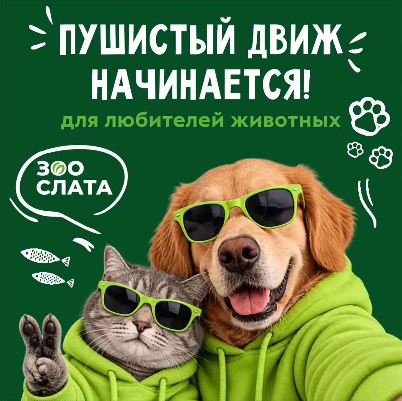 🐶 ДЕНЬ ЛЮБИТЕЛЕЙ ЖИВОТНЫХ 🐱