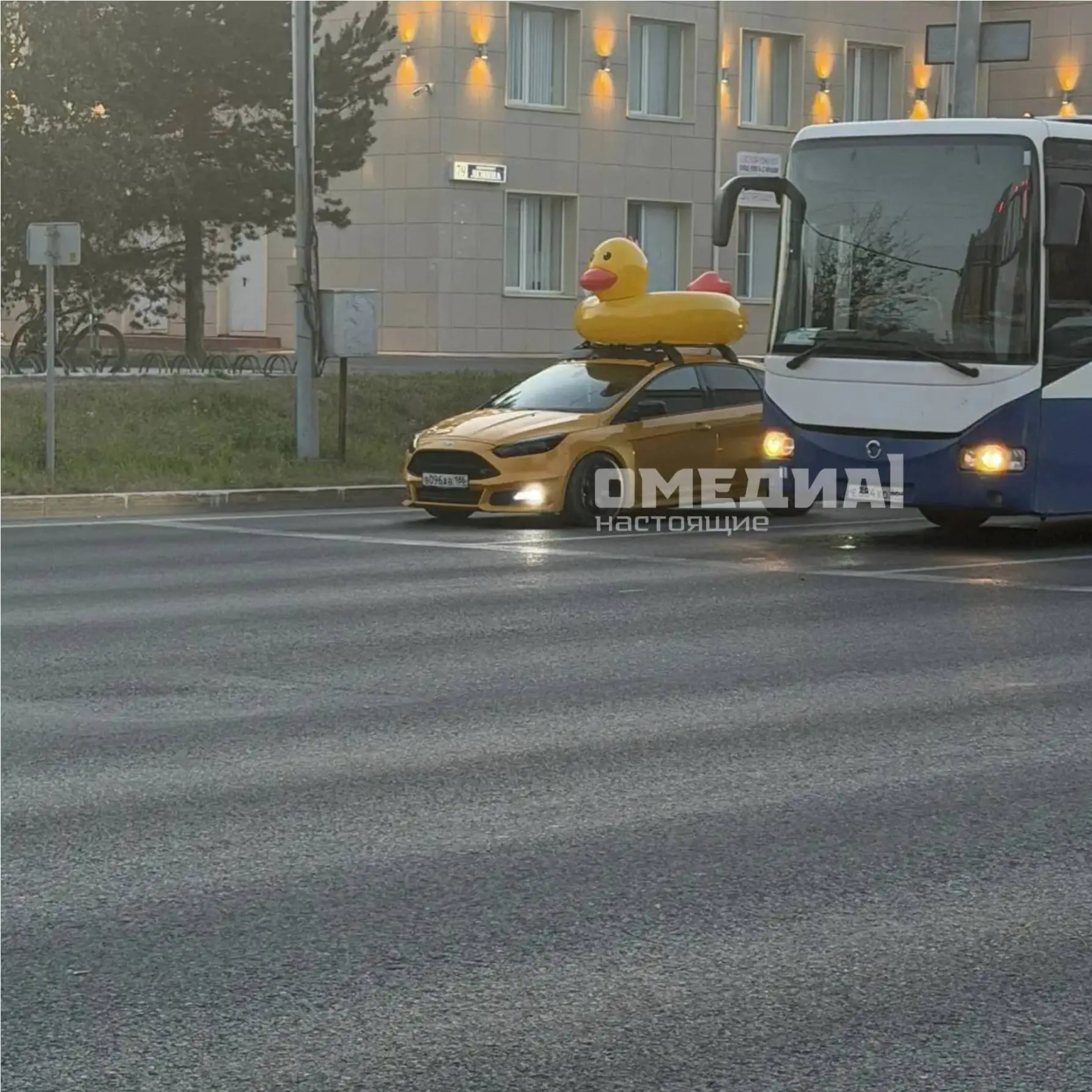 🐥