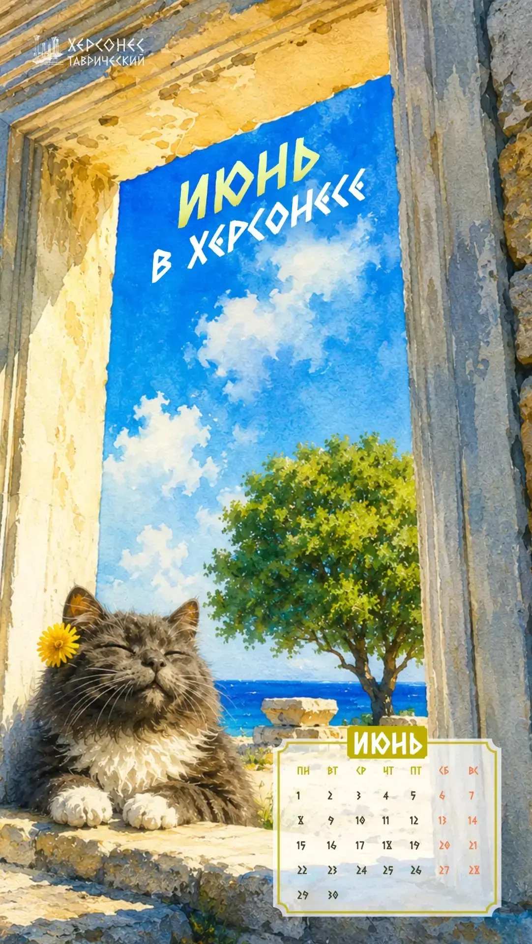 Дорогие друзья!